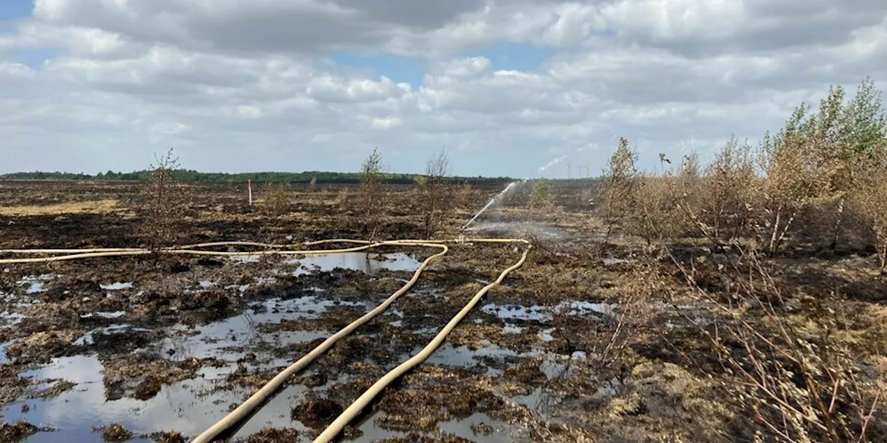 Nach dem Desaster auf Bundeswehr-Gelände: Feuer frei im Meppener Moor