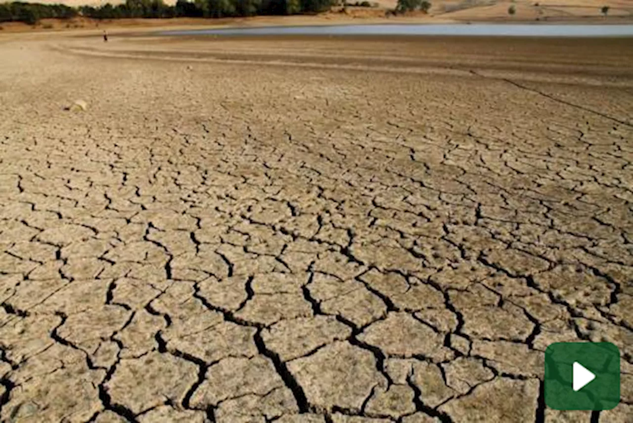 Caldo record, dramma siccità al Sud