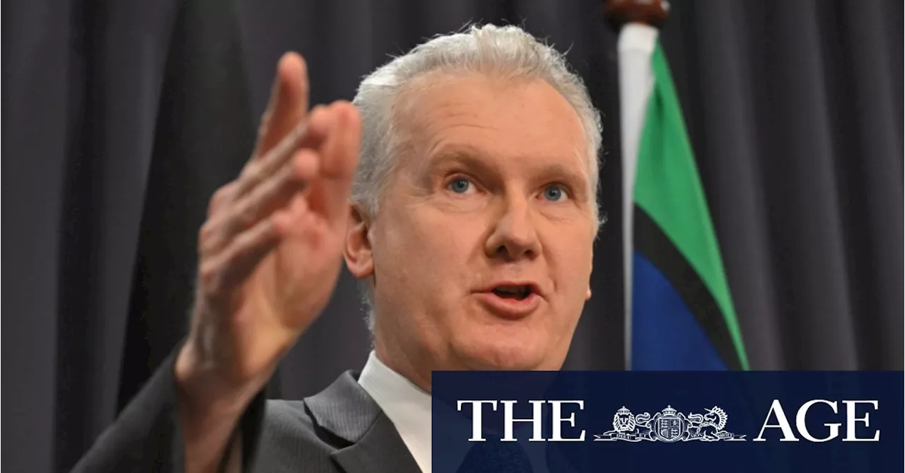 Burke dismisses as ‘idiotic’ opposition claims he would be soft on Palestinian refugees