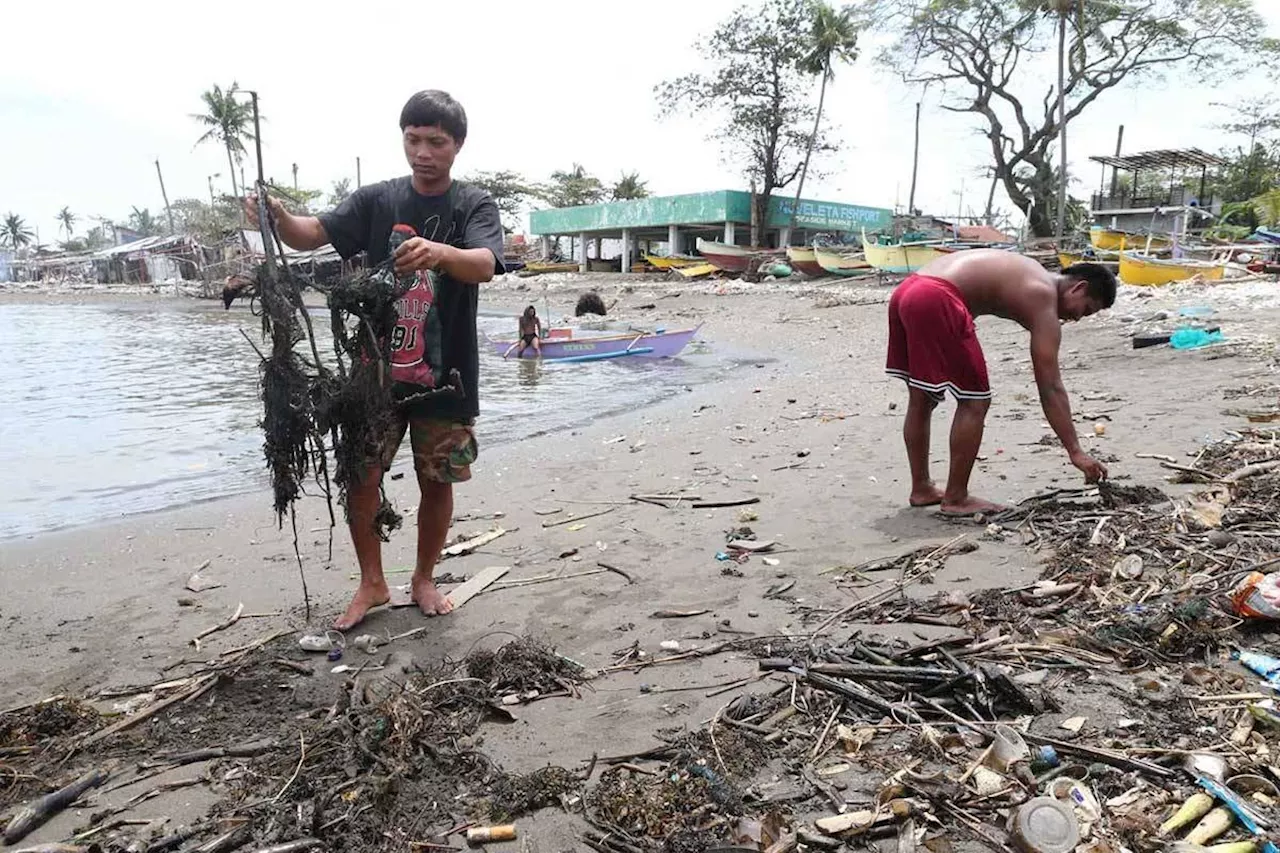 BFAR says fish safe to eat despite oil spill