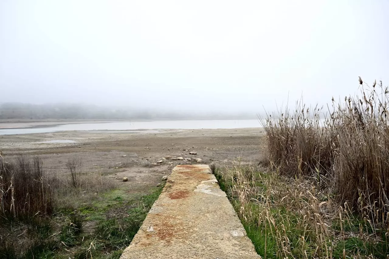 Drought in Sicily threatens grain fields, animal herds