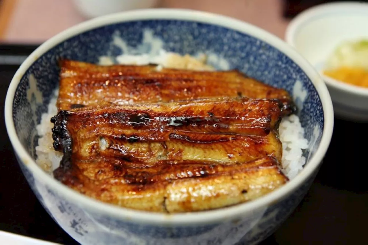 Store's grilled eel leaves 1 dead, 140 sick in Japan