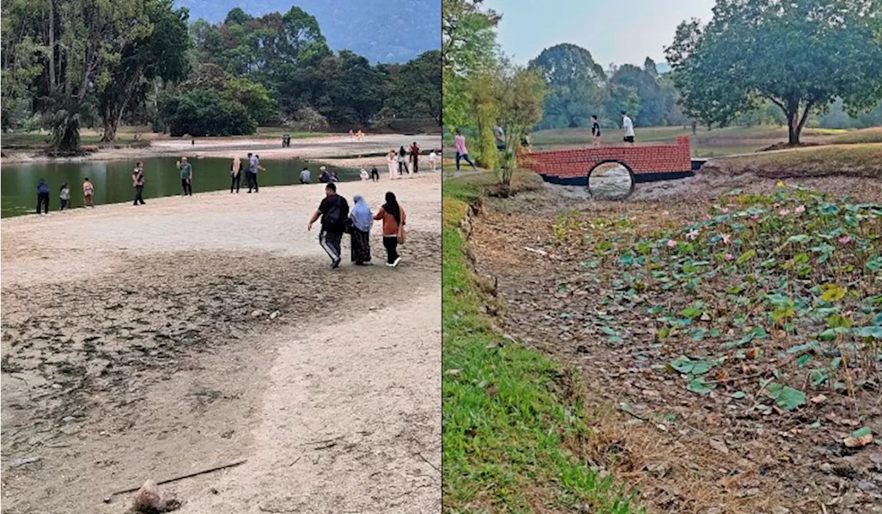 Taiping’s Oasis In Peril: Iconic Lake Gardens Faces Drought Crisis, Losing 70% Of Its Water