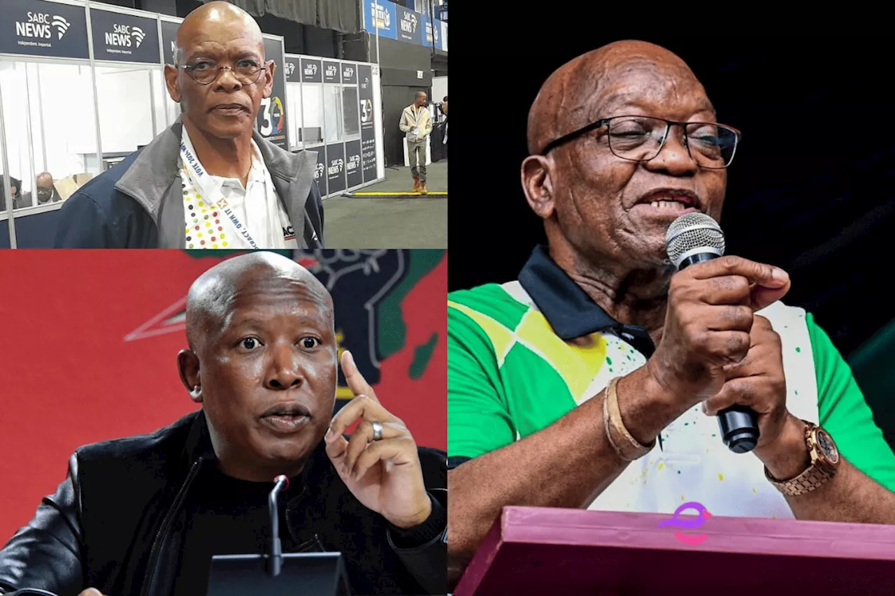 Jacob Zuma, Julius Malema and others expelled from ANC