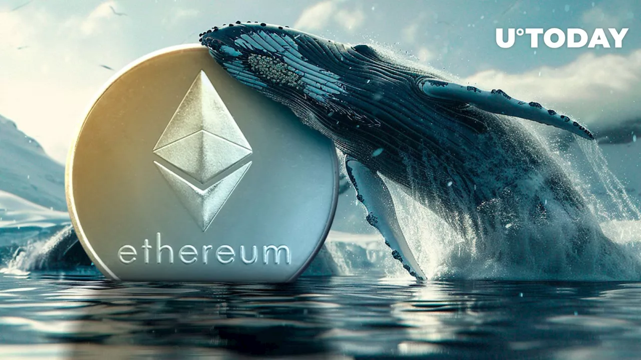 Ethereum (ETH) Surges 449% in Surprising Whale Activity Amid Market Dip