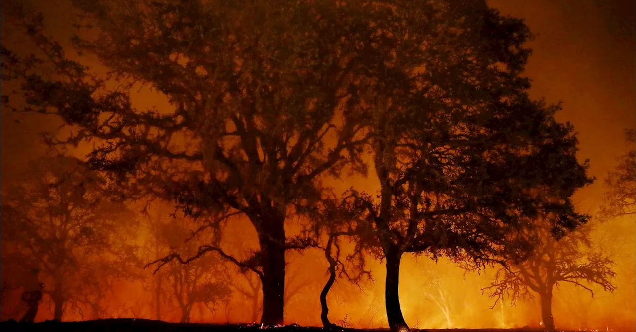 The California fires show how unprepared we are for climate change