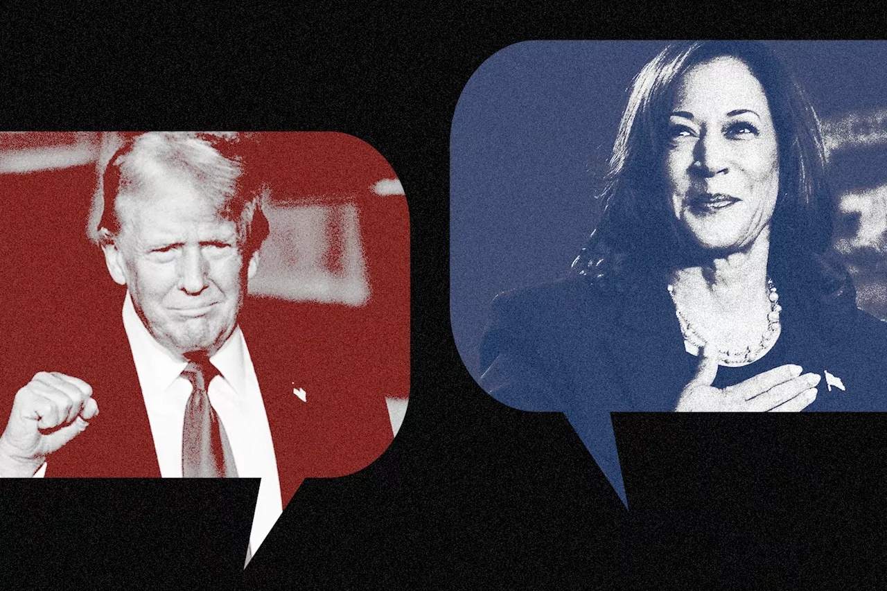 Trump vs. Harris is dividing Silicon Valley into feuding political camps