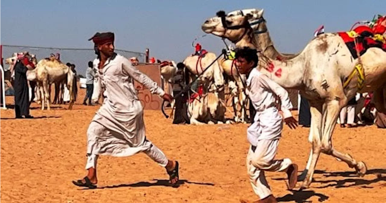 شباب المحافظات الصحراوية يحيون تراث تربية الإبل في سباق الهجن بالعلمين.. صور