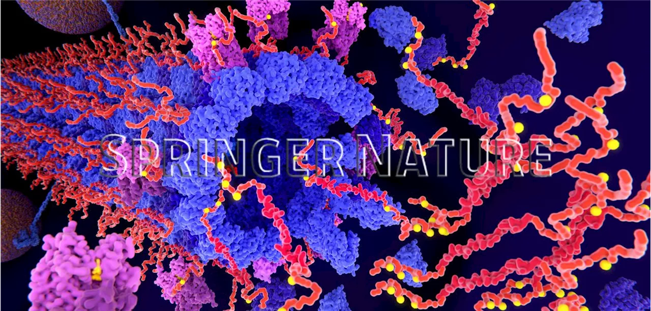 Phase-I-Studie : Erste Hinweise auf Wirksamkeit von Antisense-Oligo gegen Tau