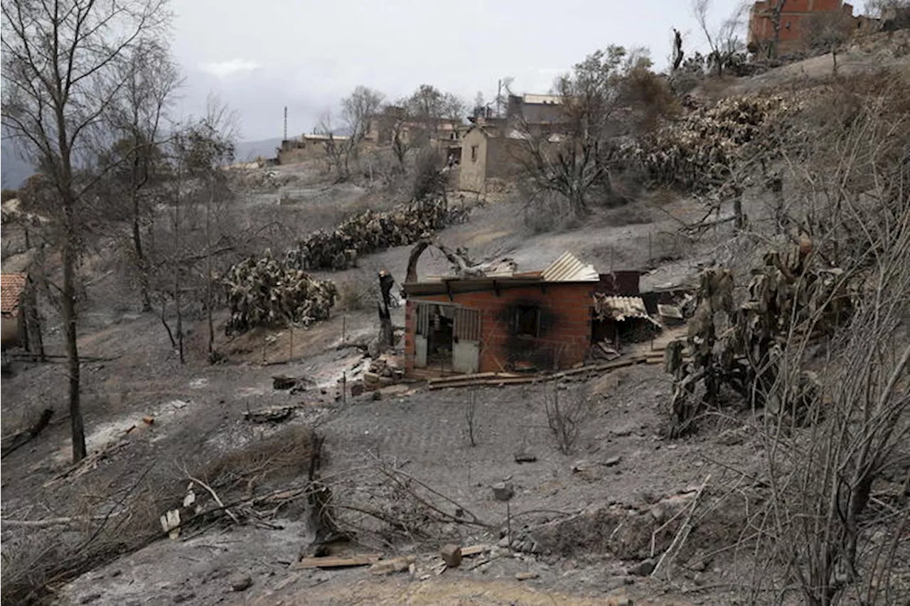 I vigili del fuoco lottano per spegnere 13 incendi in Algeria