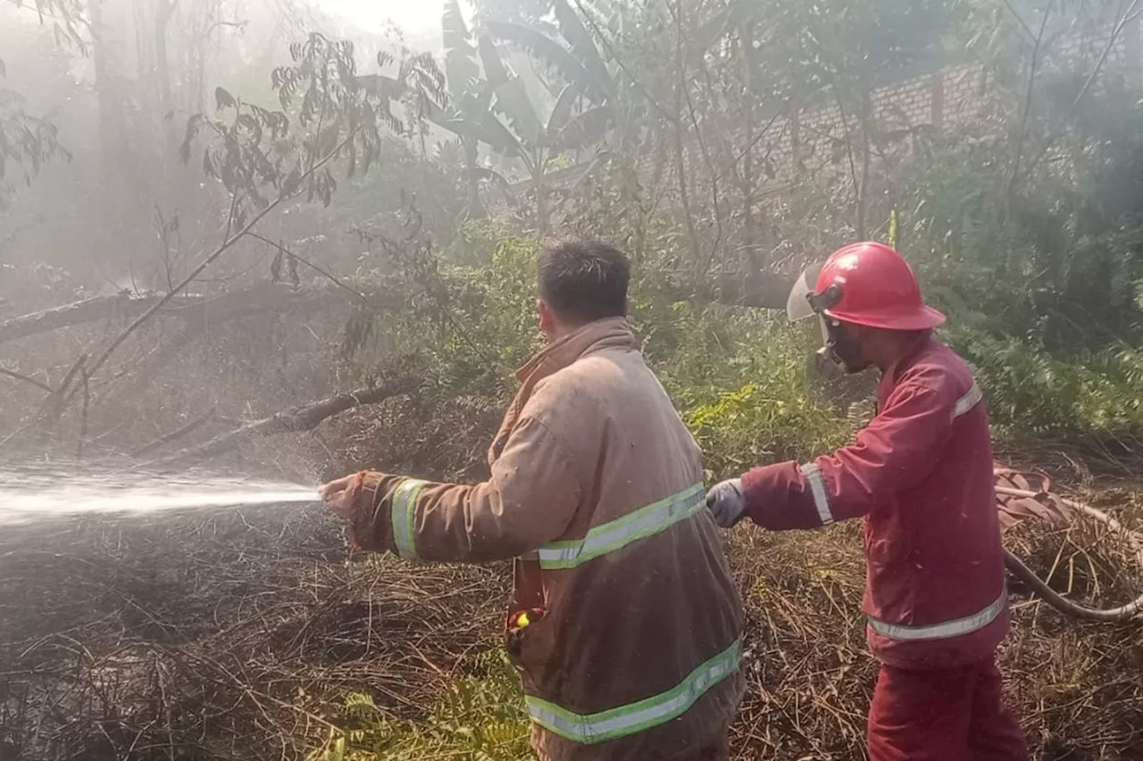 Damkar Kota Jambi turunkan 52 personel padamkan kebakaran lahan