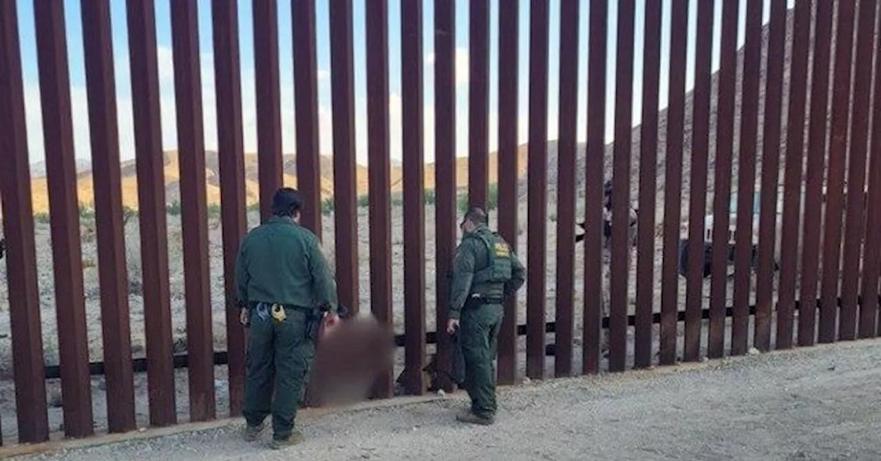 Migrant Woman Found Dead by California Border Wall, 10-Year-Old Daughter Saved