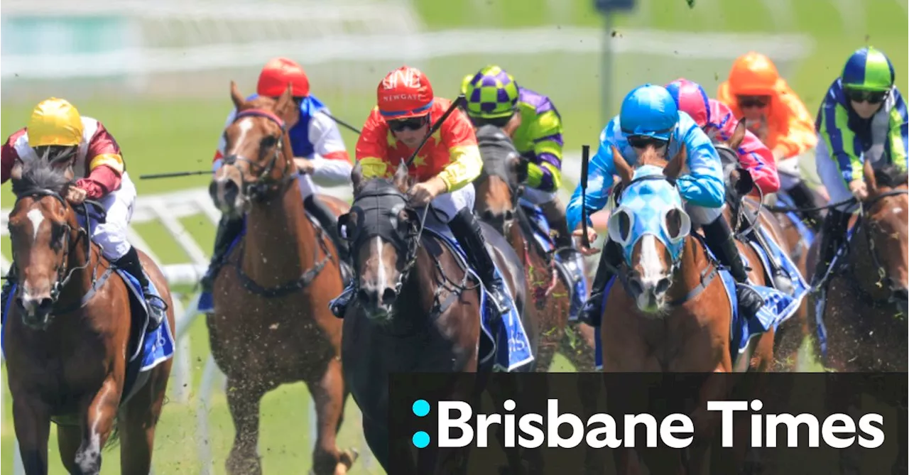 Race-by-race tips and preview for Warwick Farm on Wednesday