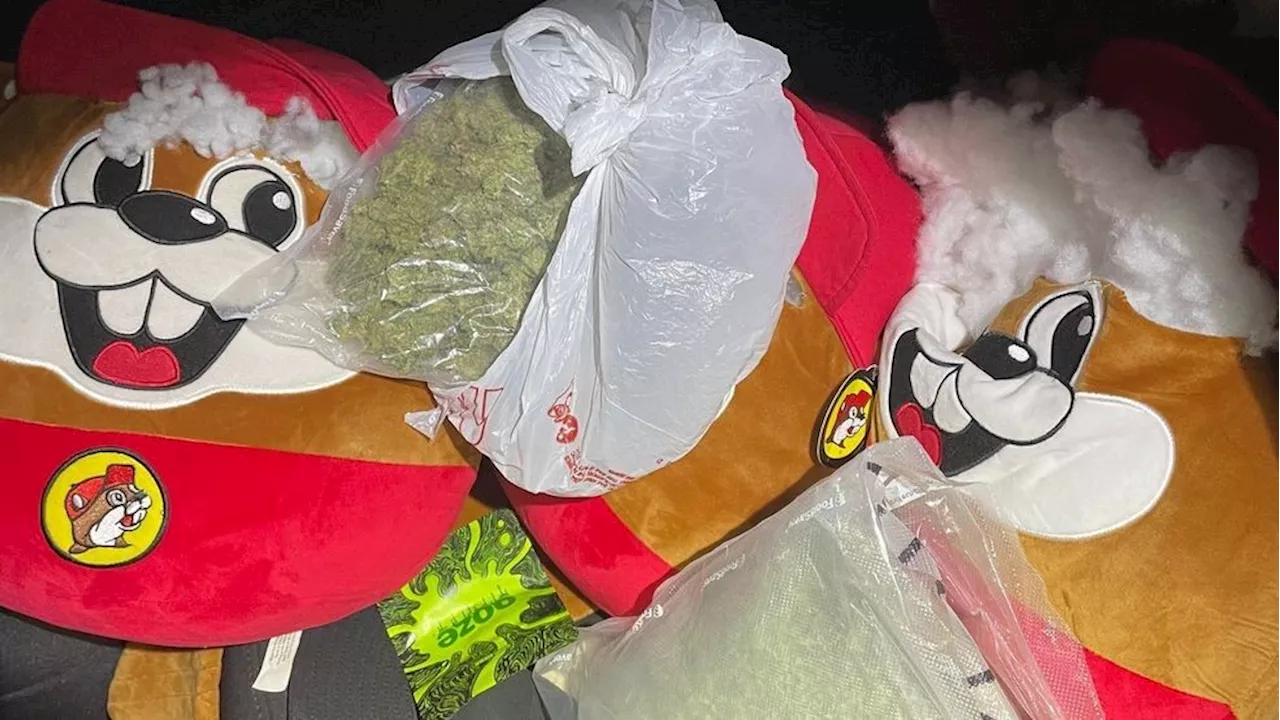 Fayette Co. traffic stop uncovers drugs hidden in Buc-ee's beaver plushies