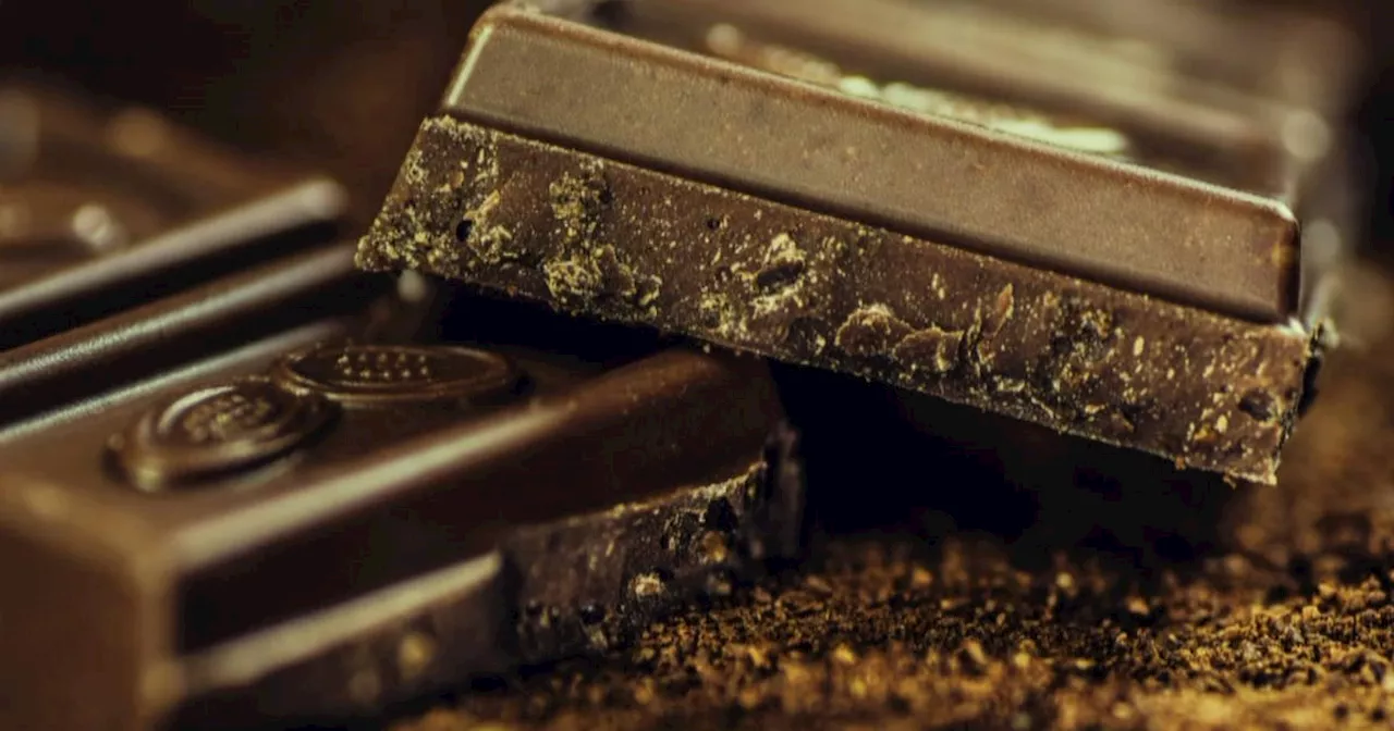 U.S. dark chocolate and other cocoa products contain lead and other heavy metals, study finds