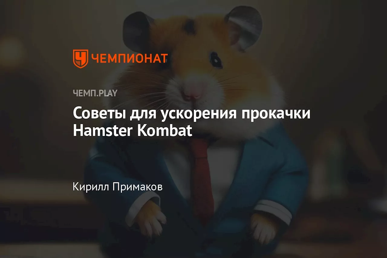 Советы для ускорения прокачки Hamster Kombat