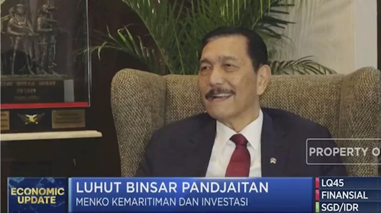 Luhut Ungkap RI Bakal Punya Listrik 58.000 MW dari Energi Hijau