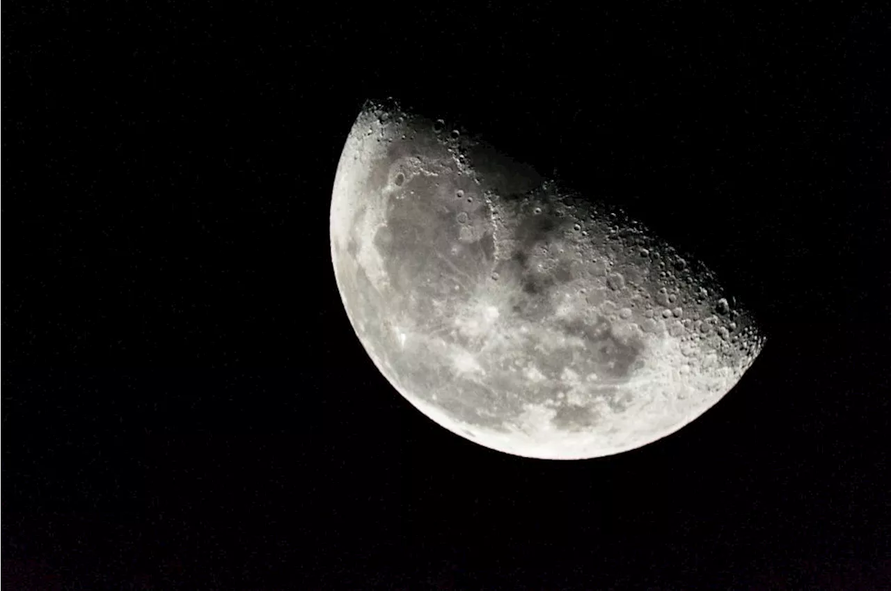 Cientistas querem colocar amostras de vida terrestre congeladas na Lua; entenda