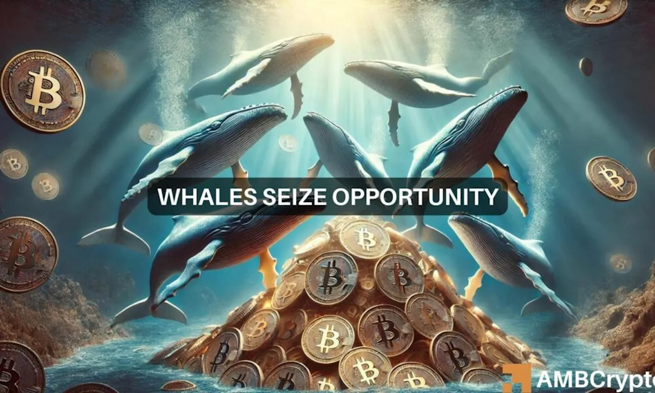 Bitcoin slides below $66k: Here’s what whales are up to