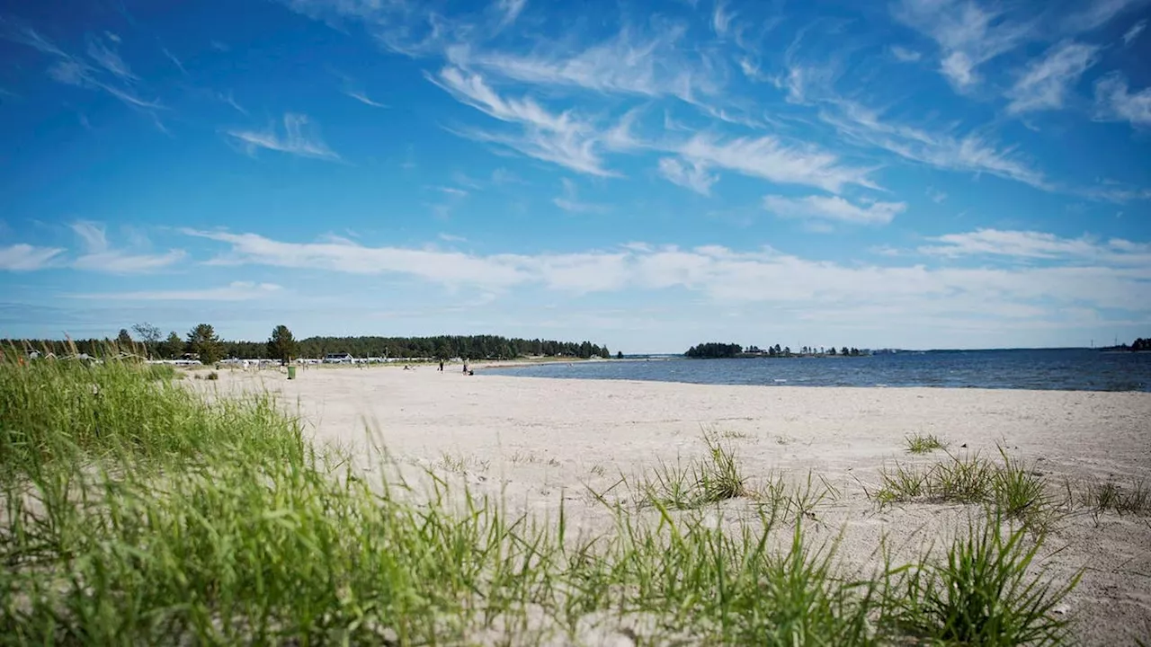 Inför inte turistskatt, besökarna betalar redan moms