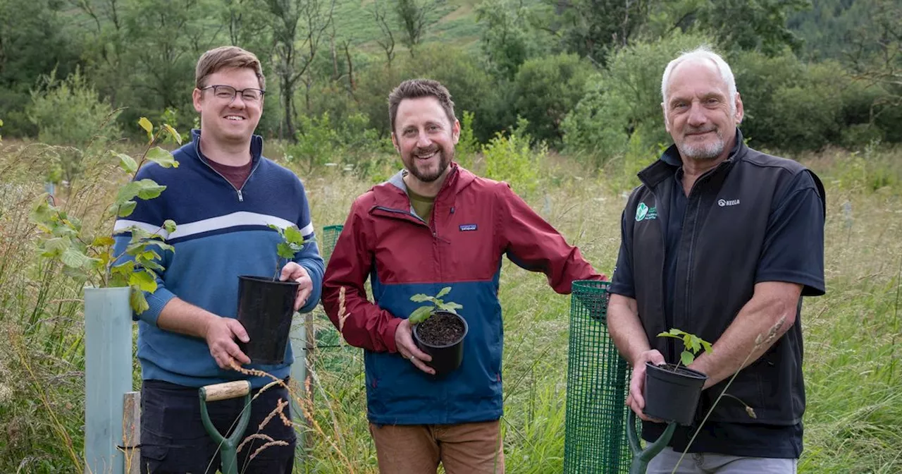 Tree planting scheme opens for grants