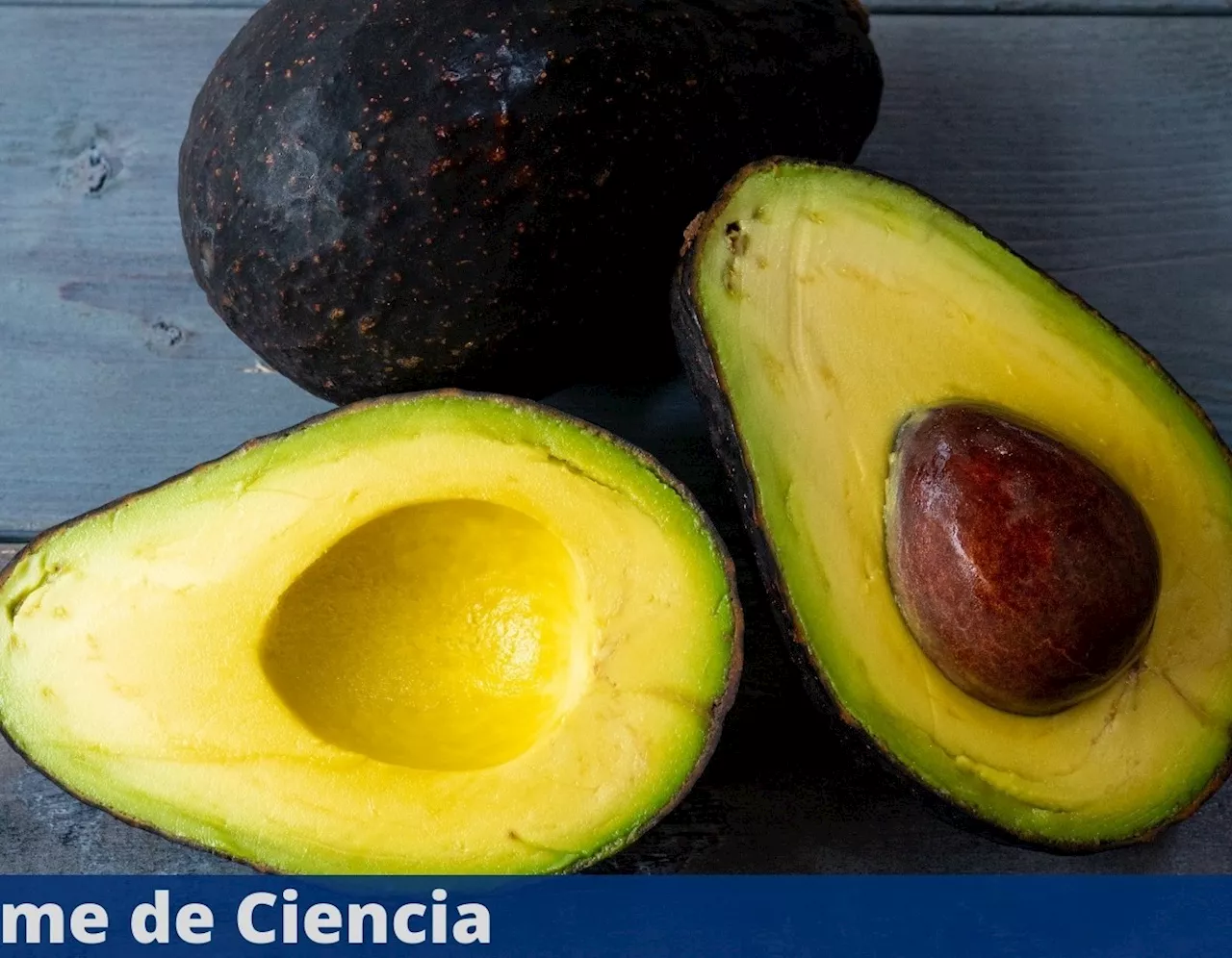 El trucazo secreto para que el aguacate no se ponga negro y dure más tiempo