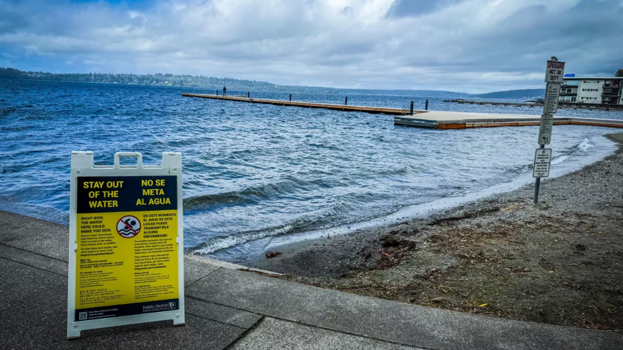 Kirkland's Houghton Beach remains closed due to high bacteria