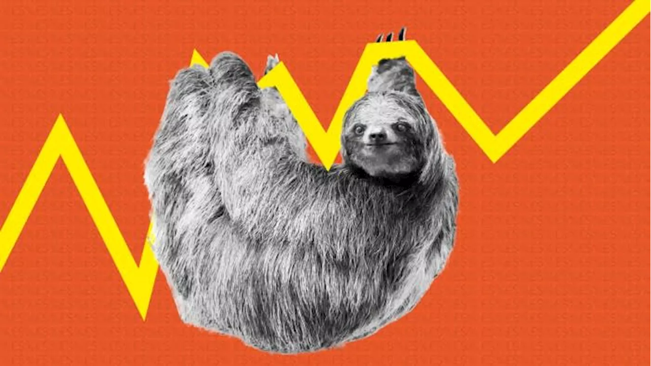 It pays to be a lazy investor — but for how long?