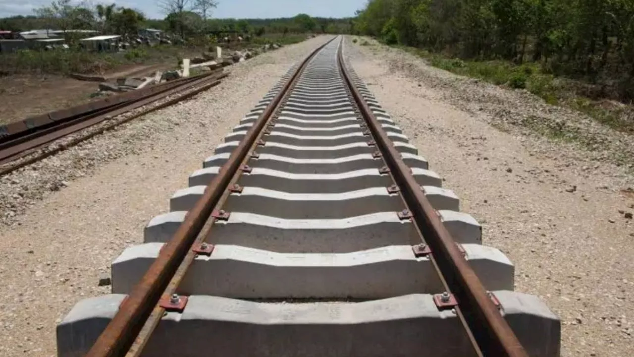 Jalisco: las pérdidas millonarias se acumulan por el descarrilamiento de un tren en Jalisco