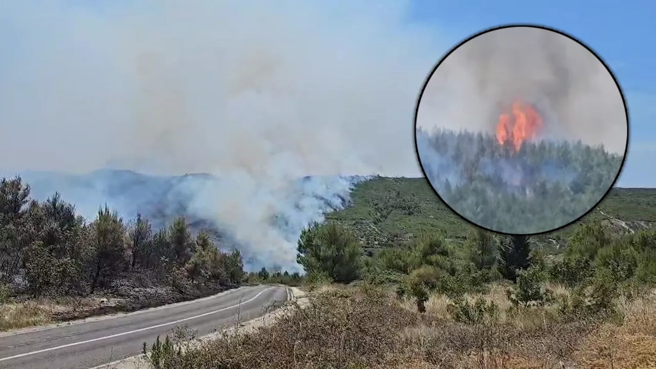 Explosionen, Café in Brand - Der Balkan brennt – jetzt sind Urlaubsorte in Gefahr