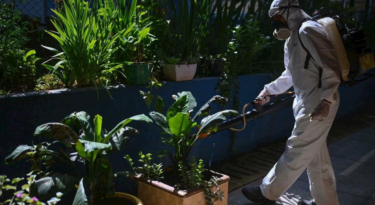 Casi di Dengue a San Gemini, stanno meglio madre e figlio