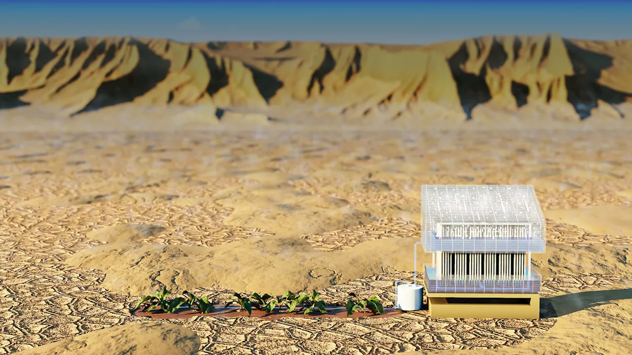 Drought buster: Solar tech extracts 3 liters of water from thin air daily