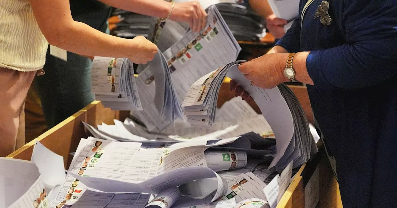 New survey shows why Irish people did not vote in European and local elections