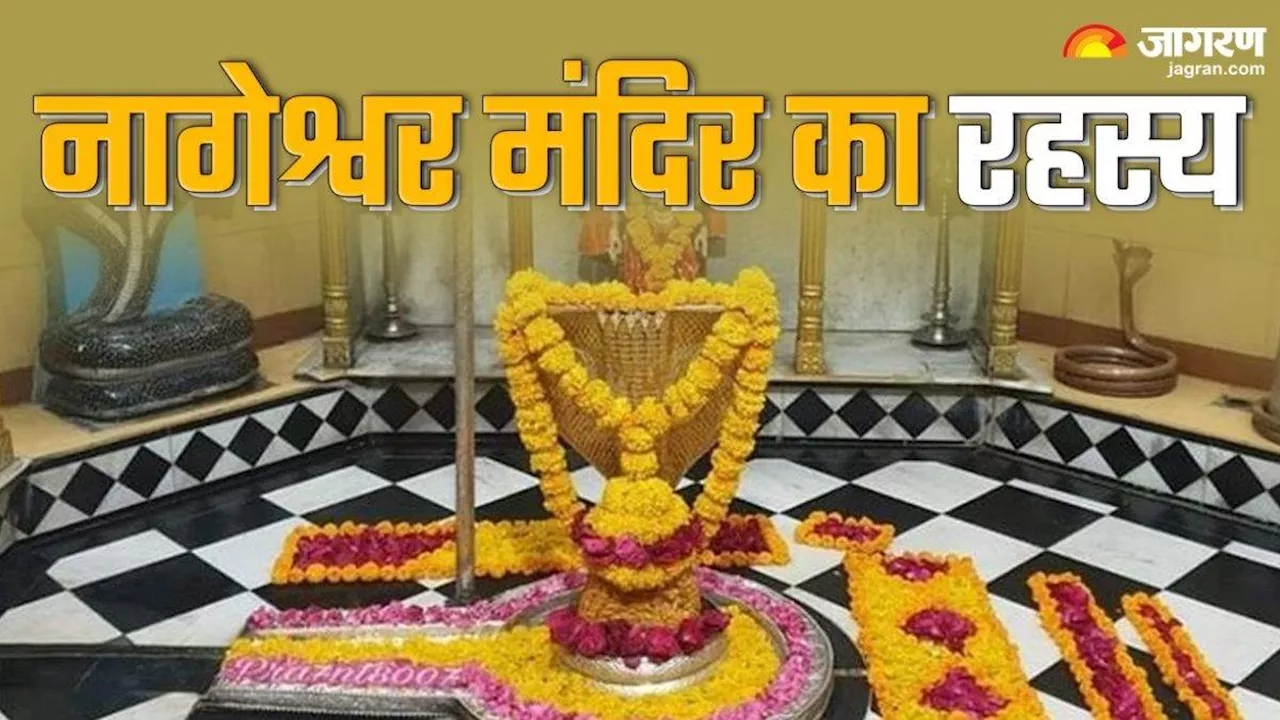 Nageshwar Jyotirlinga: कैसे हुई नागेश्वर ज्योतिर्लिंग की स्थापना? अर्पित किए जाते हैं धातु से बने नाग-नागिन