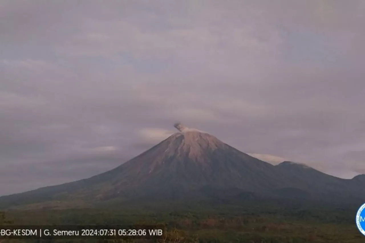 Berstatus Waspada, Gunung Semeru Erupsi dengan Letusan 700 Meter di Atas Puncak