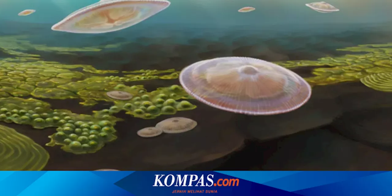 Kehidupan Kompleks Bumi Mulai 1,5 Miliar Tahun Lebih Awal dari Perkiraan