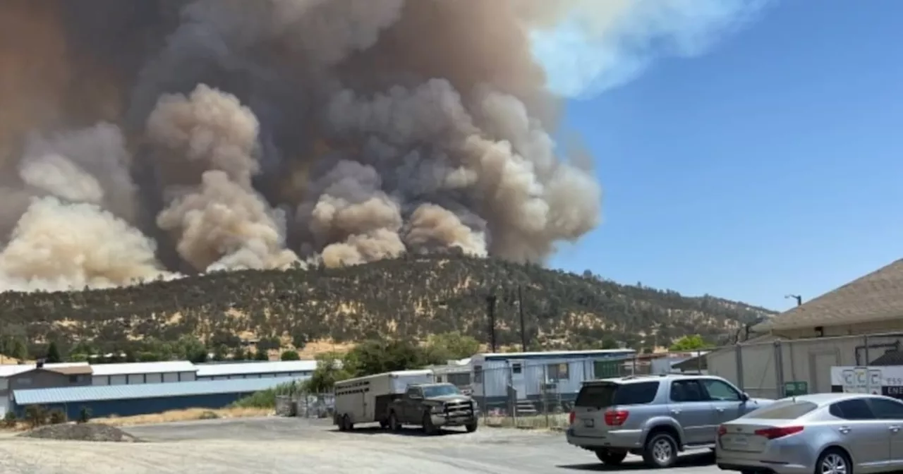 Air Quality advisory for Bay Area extended into Thursday due to smoke from Pedro Fire