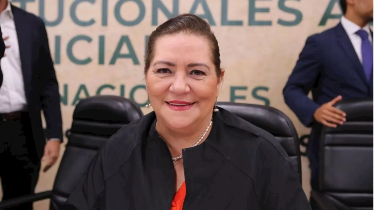 Reforma Judicial: INE podría enfrentar retos en la elección de jueces, advierte Taddei