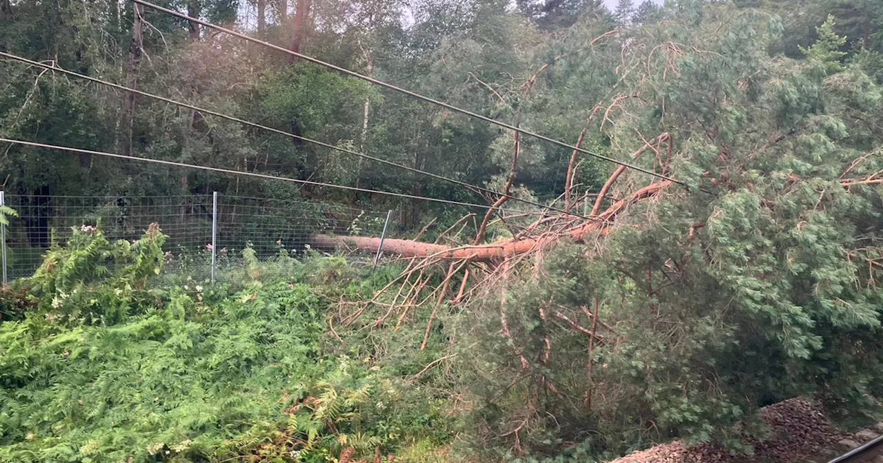 «Je suis désespérée»: les perturbations sur la ligne TGV Sud-Est sabordent les départs en vacances ce jeudi