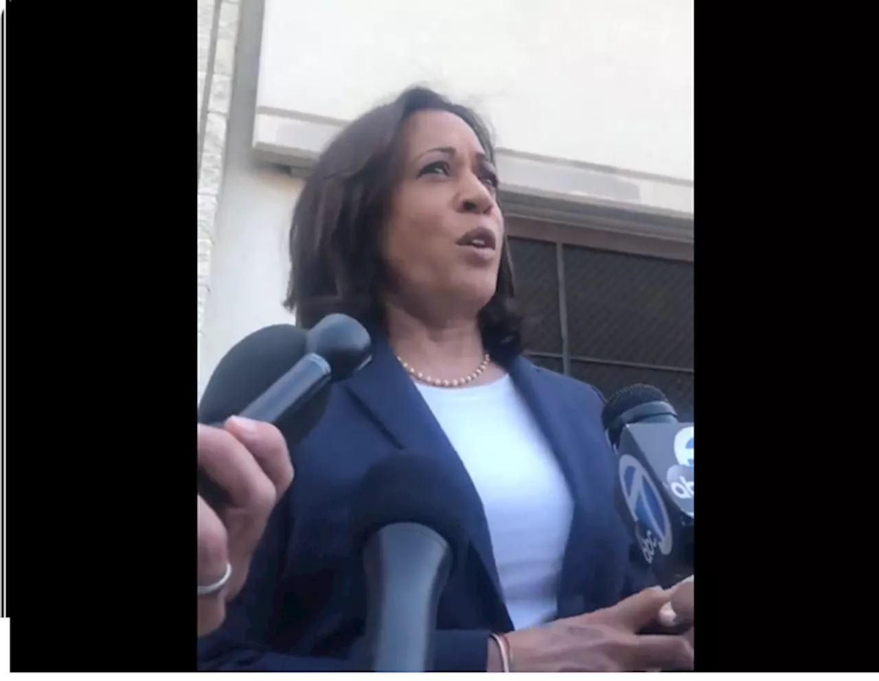 Flashback: Radical Democrat Kamala Harris Promised Gun Confiscation In First 100 Days