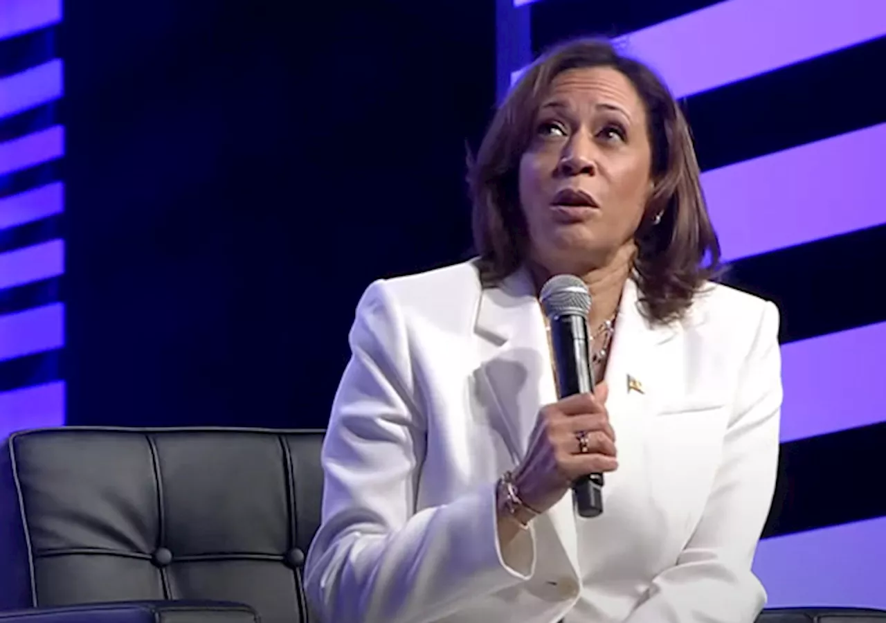 FLASHBACK: Vice President Kamala Harris Struggles to Define Culture