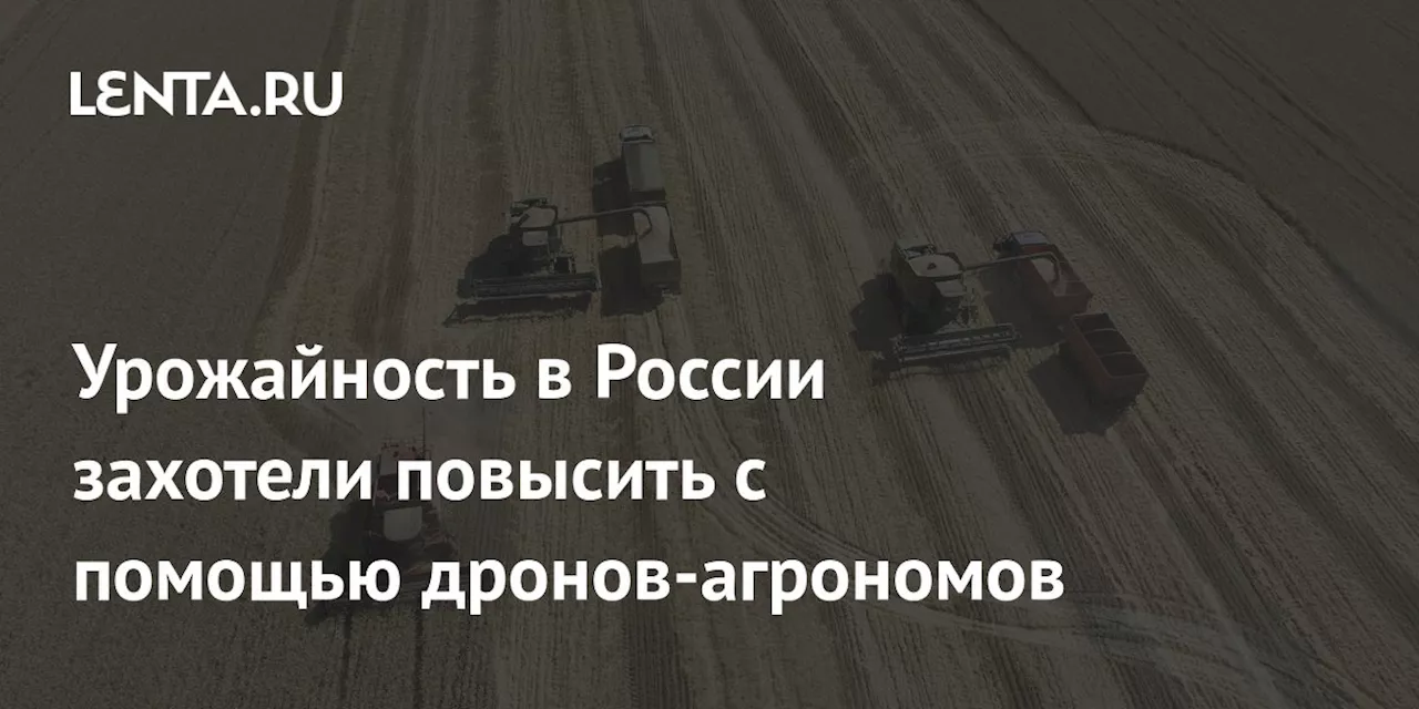 Урожайность в России захотели повысить с помощью дронов-агрономов