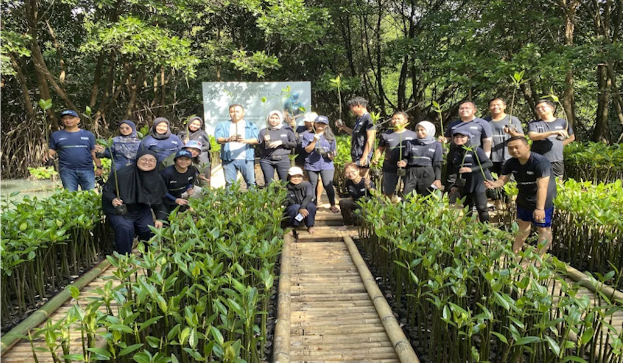 PNM Tanam 50.000 Pohon Mangrove untuk Cegah Bencana Pesisir