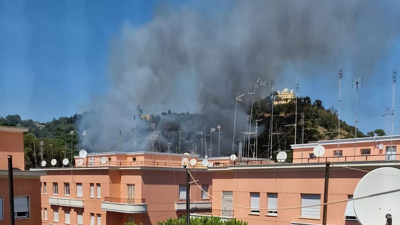 Roma, incendio a Monte Mario: alta colonna di fumo nero