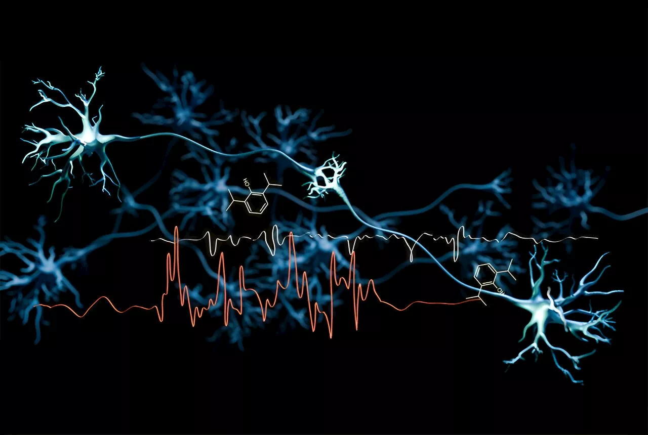 Propofol shows promise in treating epilepsy by targeting HCN1 channels