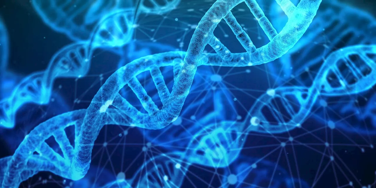 Researchers use AI-powered method to identify genetic epilepsies earlier than current genetic diagnosis