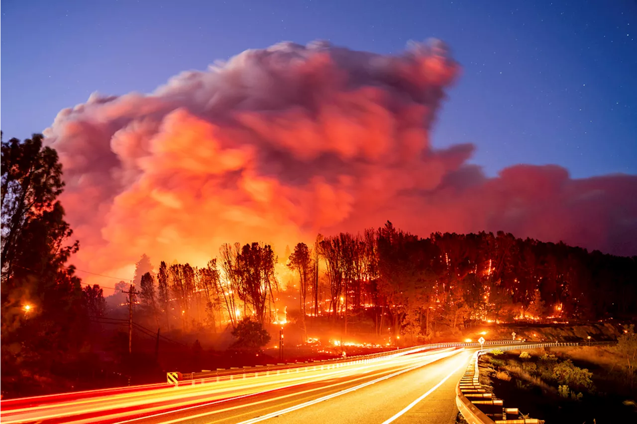 California experiencing most severe start to wildfire season in 16 years