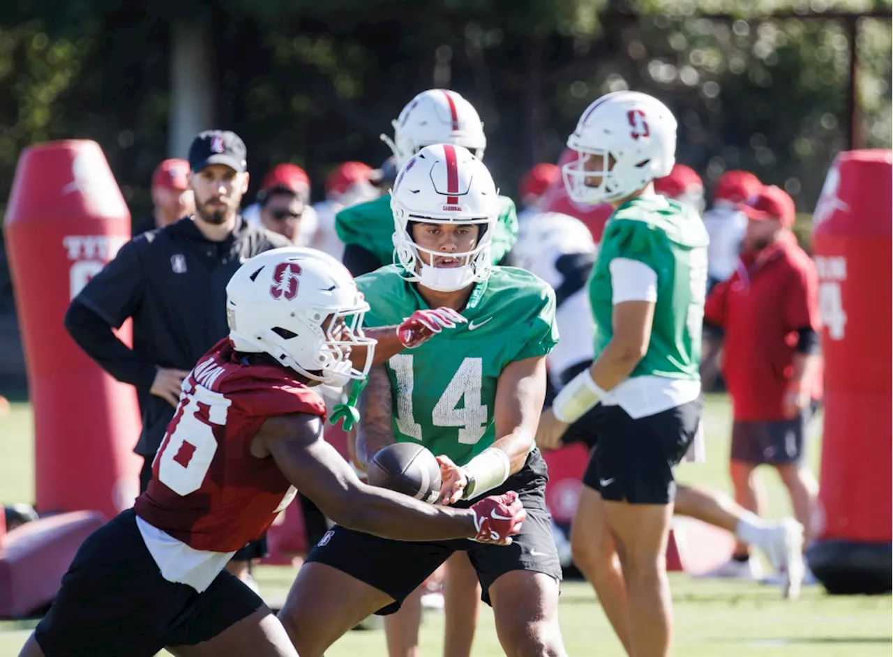 Stanford coach Taylor lauds improved depth as Cardinal open fall practice