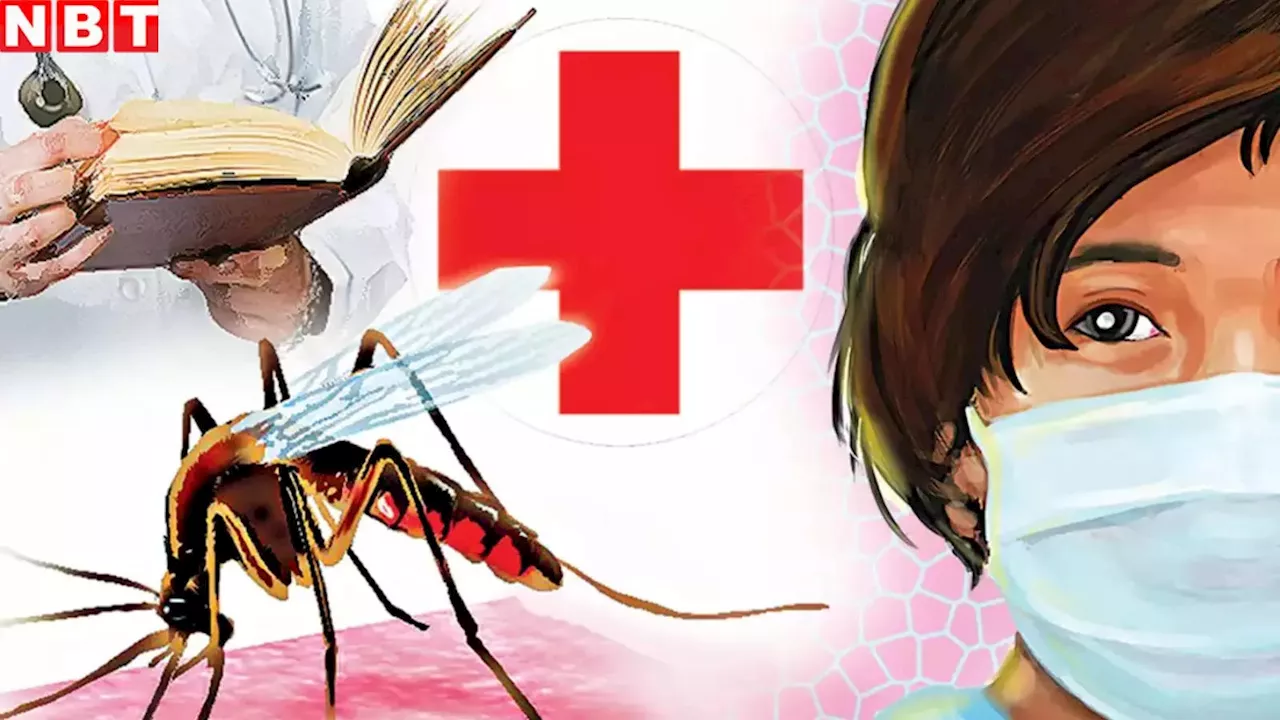 Dengue In Bhopal: भोपाल में जोरदार बारिश के बीच बढ़ा डेंगू का खतरा, 101 मरीज मिले, बचाव के लिए ये 5 बातें जान लीजिए