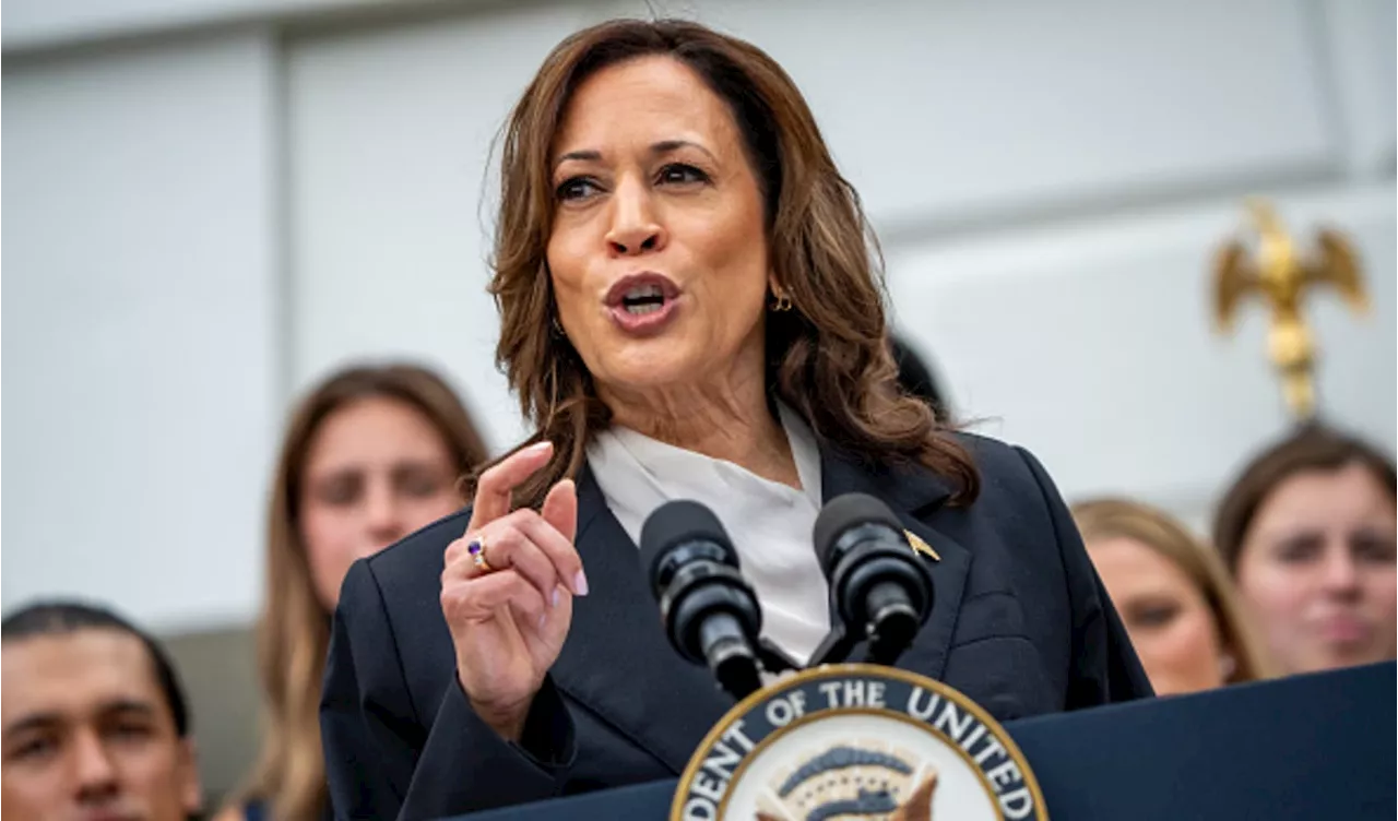 UAW union endorses Vice President Kamala Harris for president over Trump